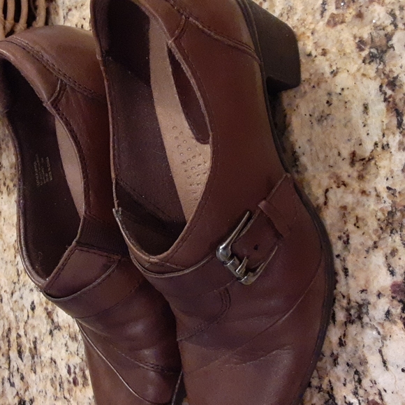 Earth Origins by Earth - Picture 6 of 10